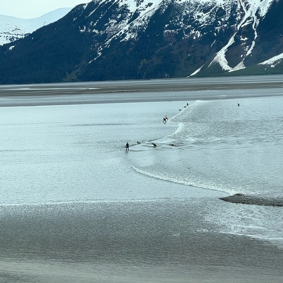 LIKE THIS TO SAVE ME! - Picture 15 of 16